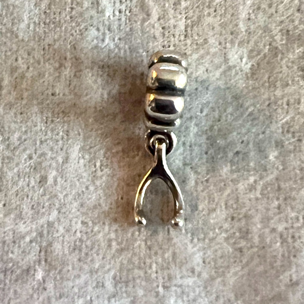 Pandora Silver Wishdone